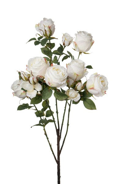 Long-stemmed roses white 145cm