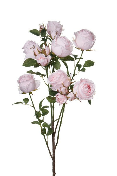 Long-stemmed roses pink 145cm