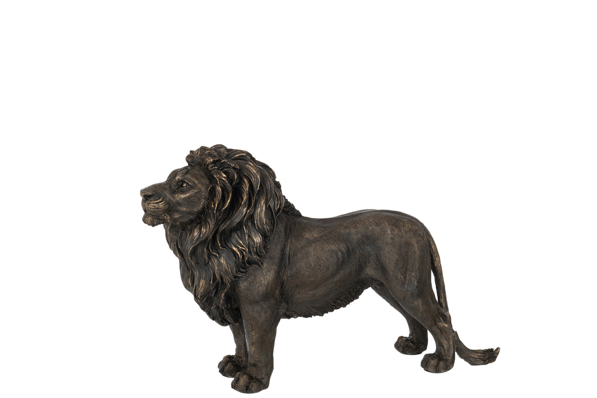 Polyresin lion in bronze