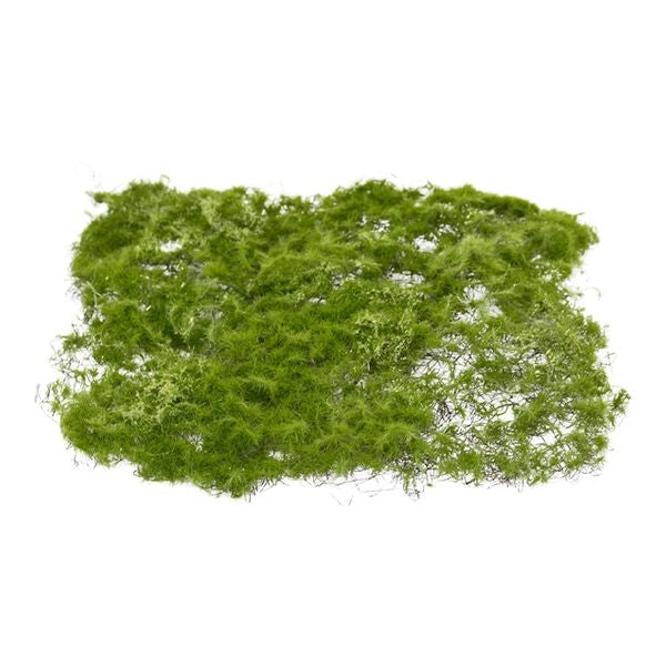 Moss mat 22x15 cm