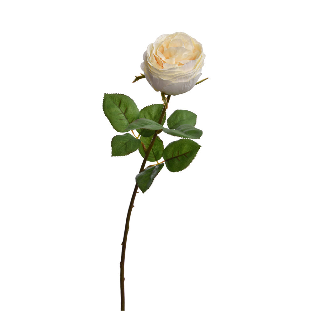 SINGLE ROSE 57CM CREAM