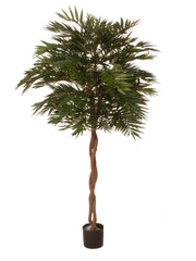 PARLOR PALM TREE W/1488 LVS 150 CM