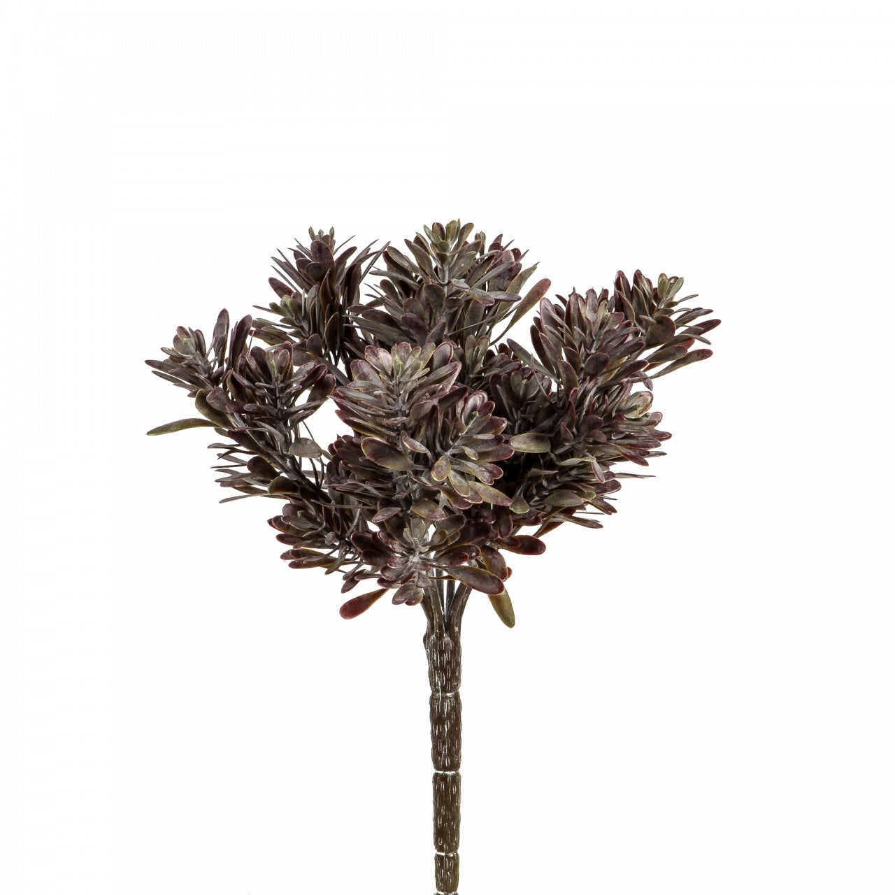 Succulent-Busch, 23 cm, green burgundy