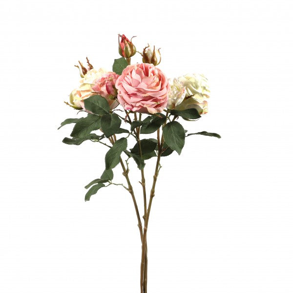 Rose "Cambridge" long-stemmed, 64 cm2 Bluten, 1 Bud bright pink