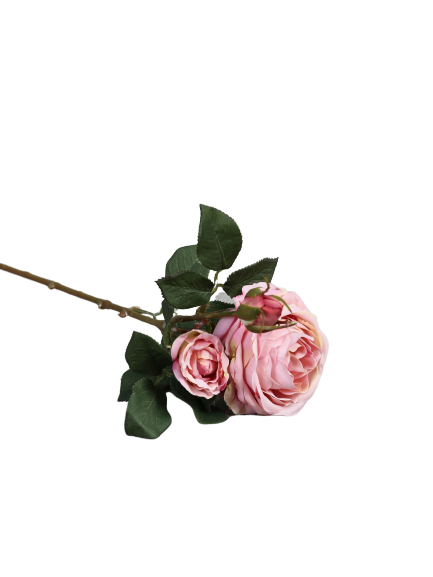 Rose "Cambridge" long-stemmed, 64 cm 123