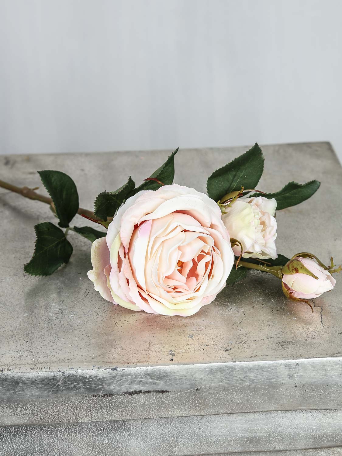 Rose "Cambridge" long-stemmed, 64 cm 1 /