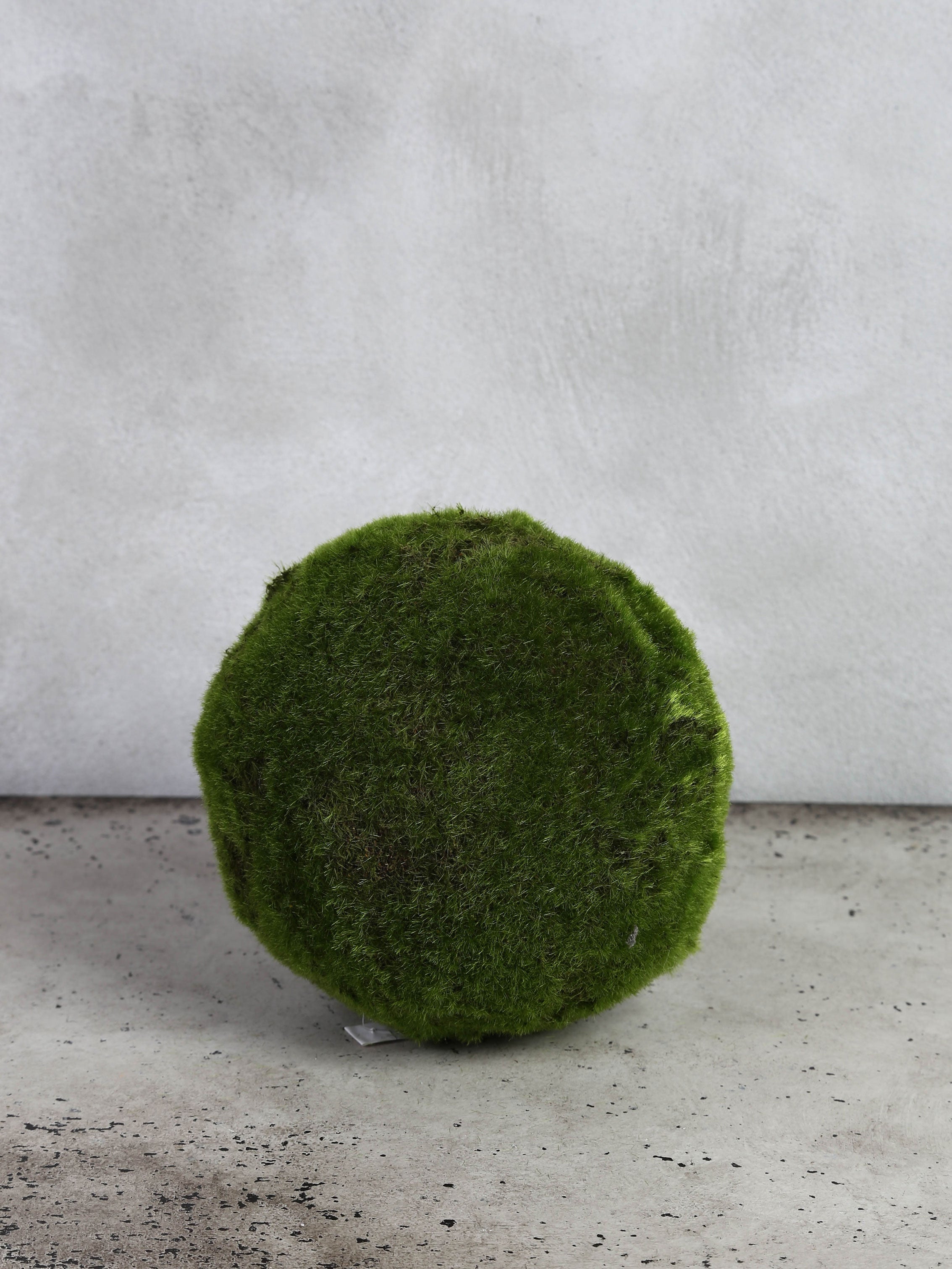 Moss ball 20 cm