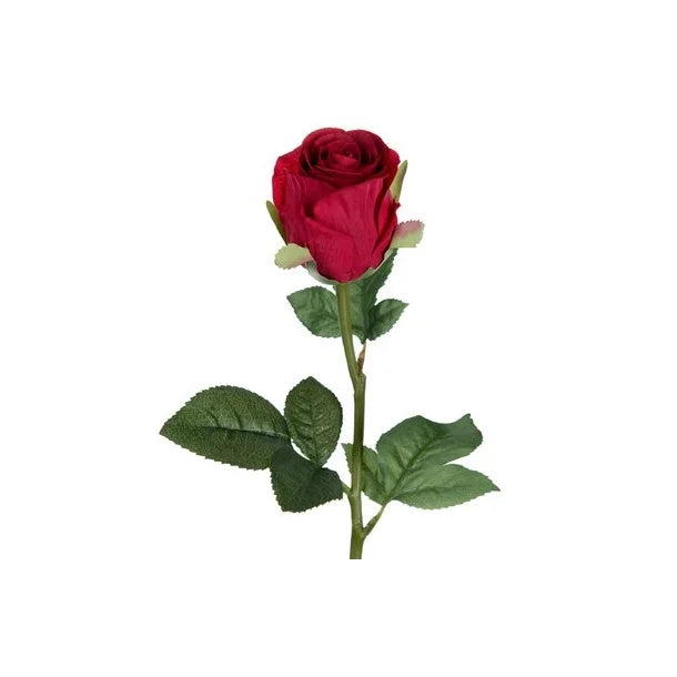 Rose Stem 54cm