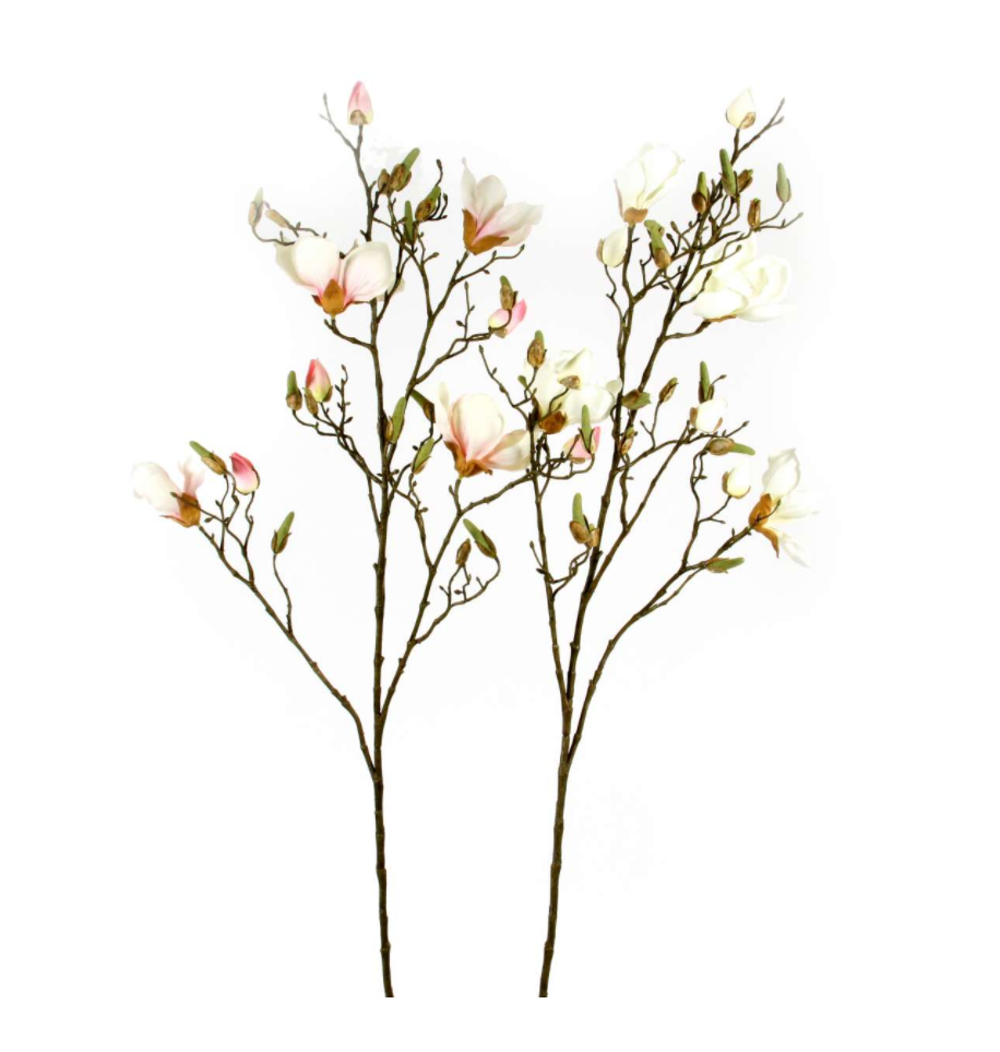 Magnolia-Ast, 109 cm, zartrosa