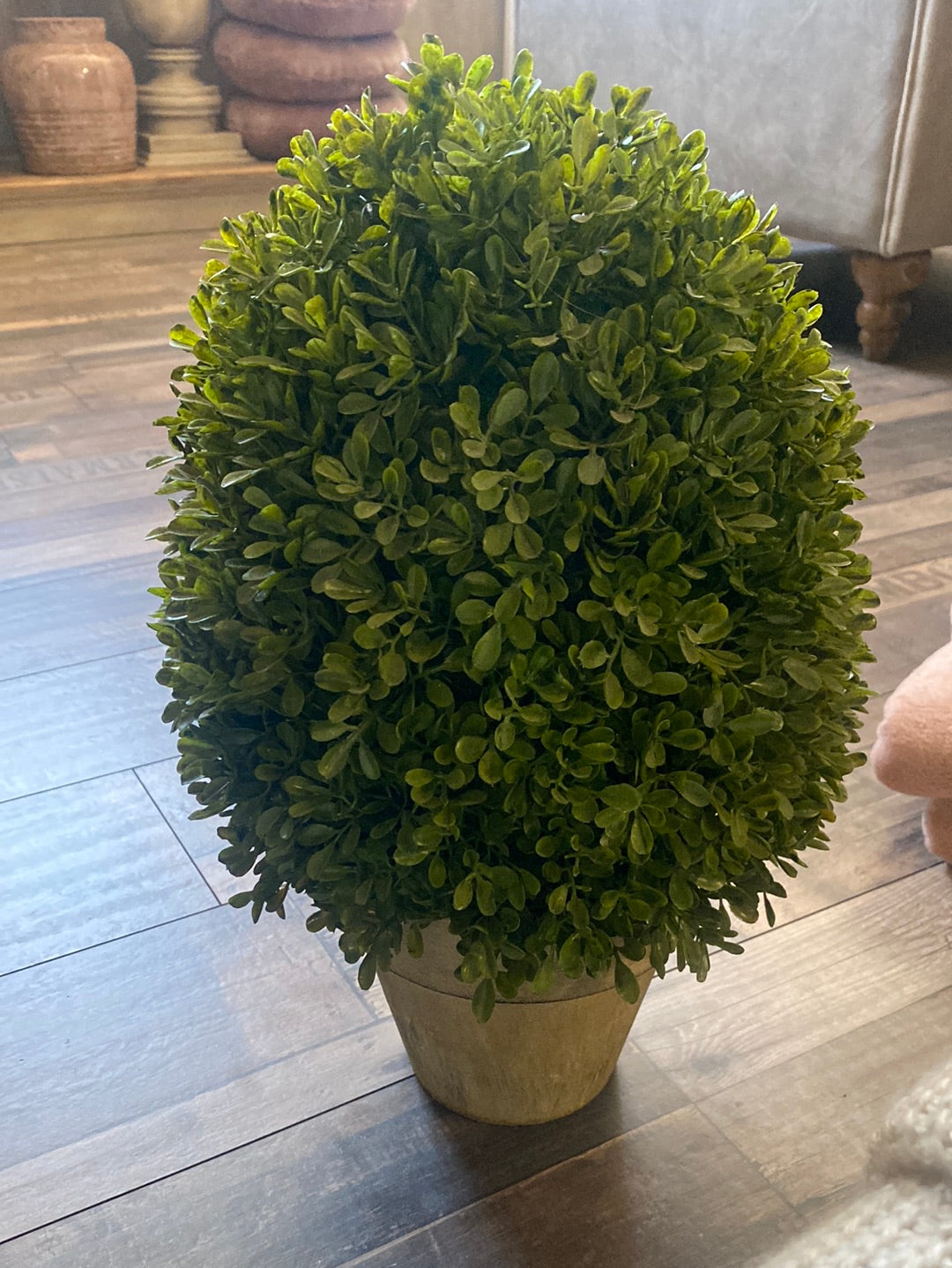 Boxwood plant artificial