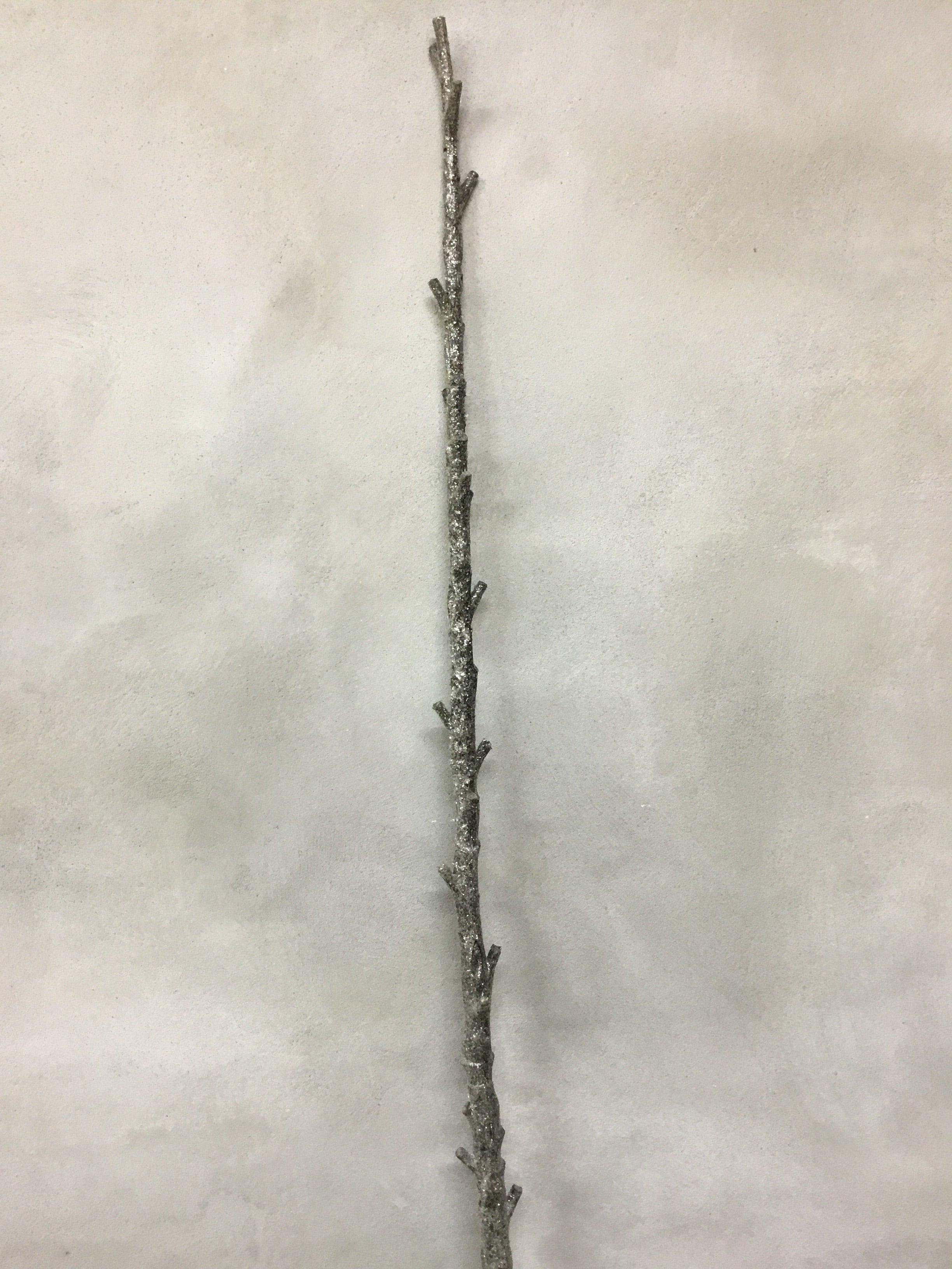 Branch with ice