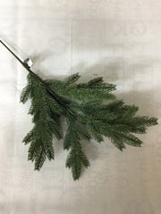 Conifer - Twig