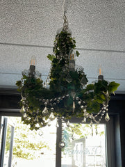 Chandelier with ivy