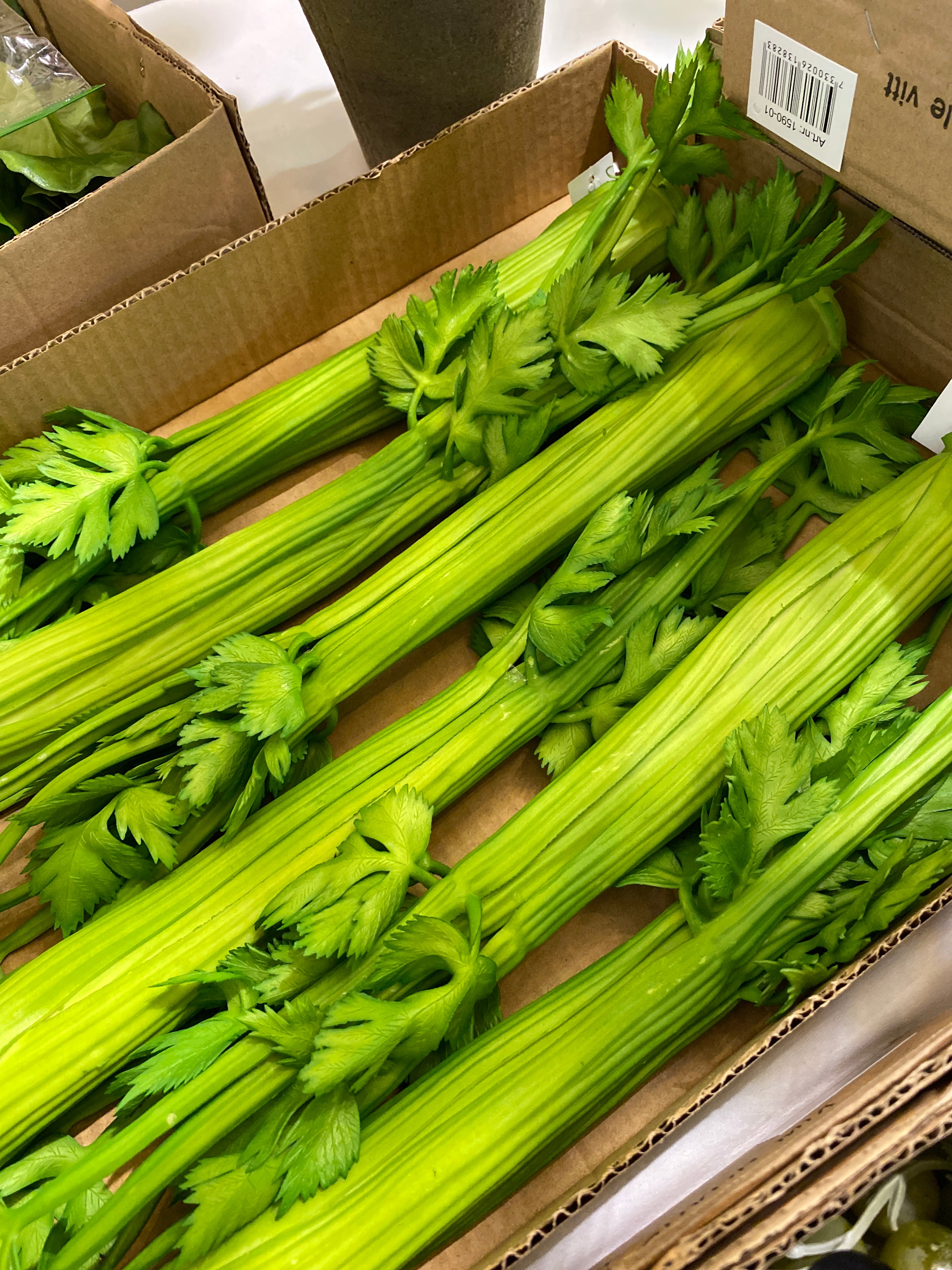 Artificial celery 35cm green