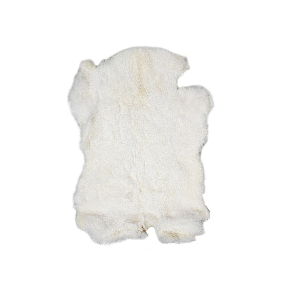 fur rabbit white (oryctolagus cuniculus)