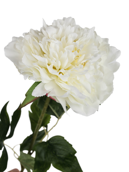 Flower peony white 69cm